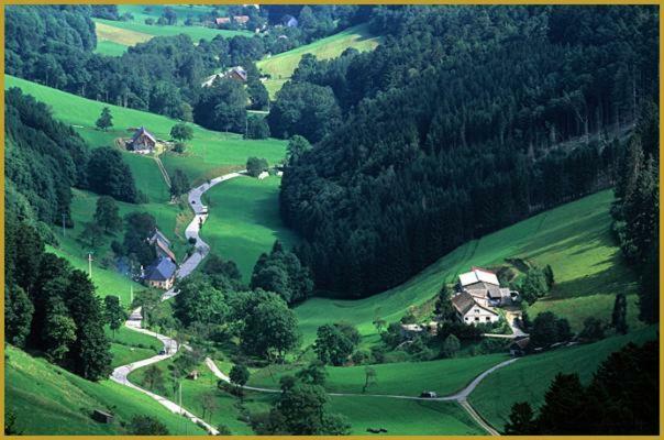 Le Tricotin Gite 2-4 Personnes Sainte-Marie-aux-Mines Exterior photo